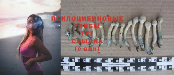 гашик Верхний Тагил