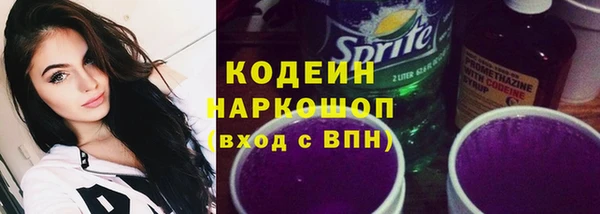 гашик Верея