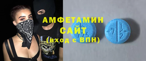 гашик Верея