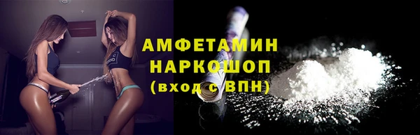 гашик Верея