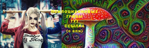 гашик Верхний Тагил