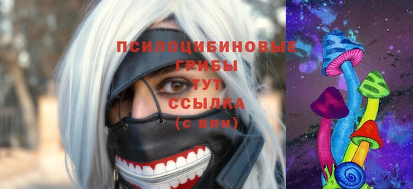 гашик Верхний Тагил