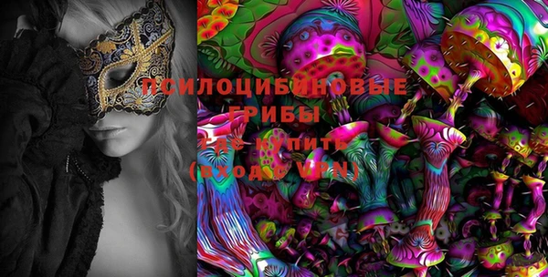 гашик Верея