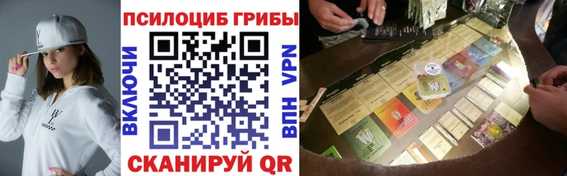 shop официальный сайт  Голицыно  Галлюциногенные грибы Psilocybine cubensis 